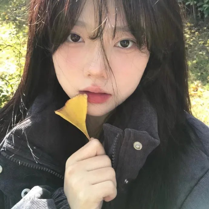 美国女儿