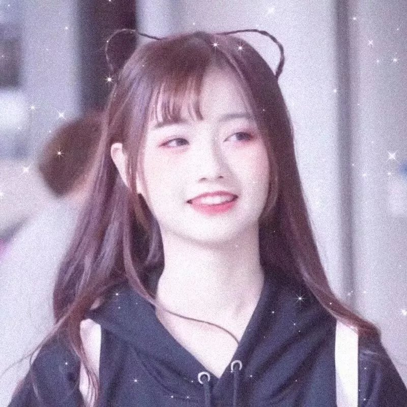 我的刺猬女孩